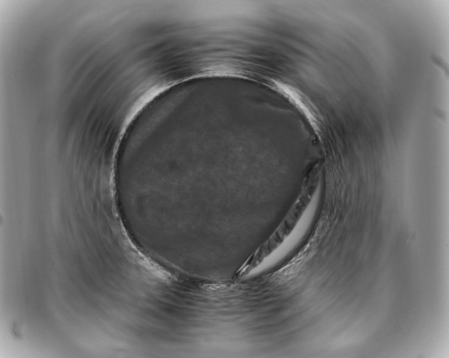 X0000096981331200802221425