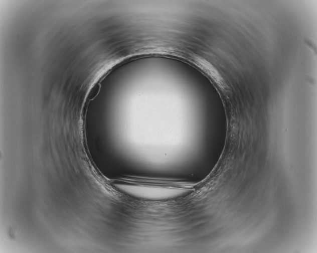 X0000096981332200802221425