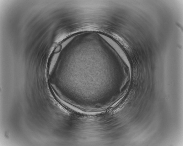 X0000096981334200802221425