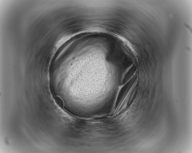 X0000096981335200802221425