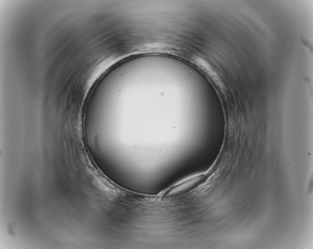 X0000096981336200802221425