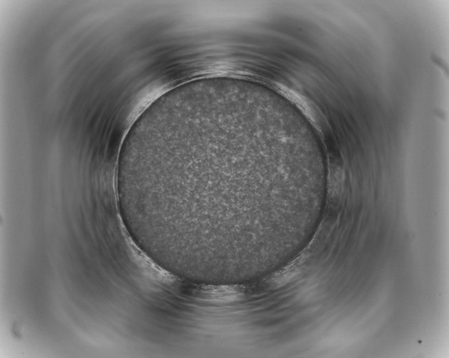 X0000096981338200802221425