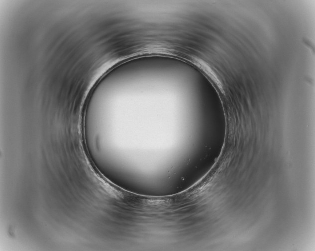 X0000096981339200802221425