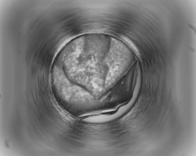 X0000096981340200802221425