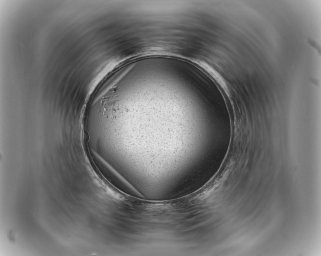 X0000096981341200802221425