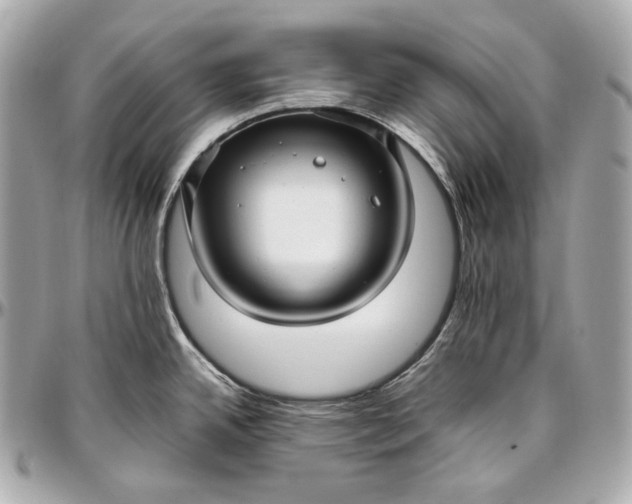 X0000096981342200802221425