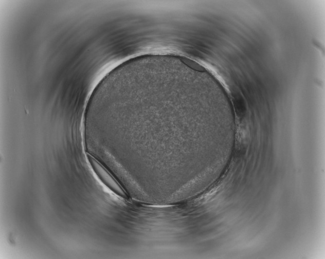 X0000096981343200802221425