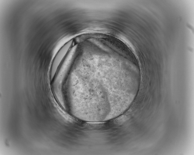 X0000096981344200802221425