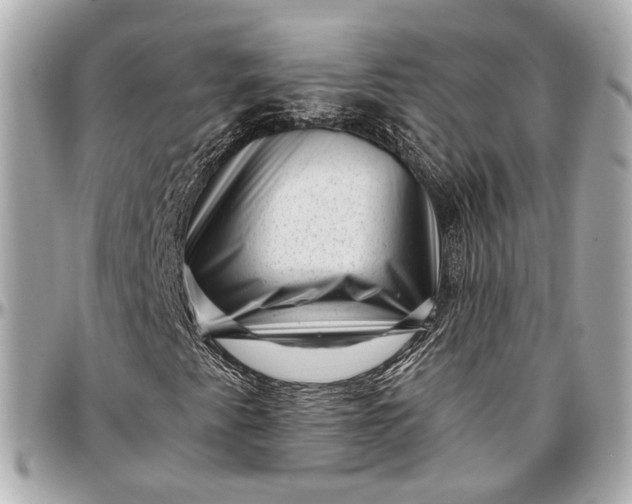 X0000096981345200802221425