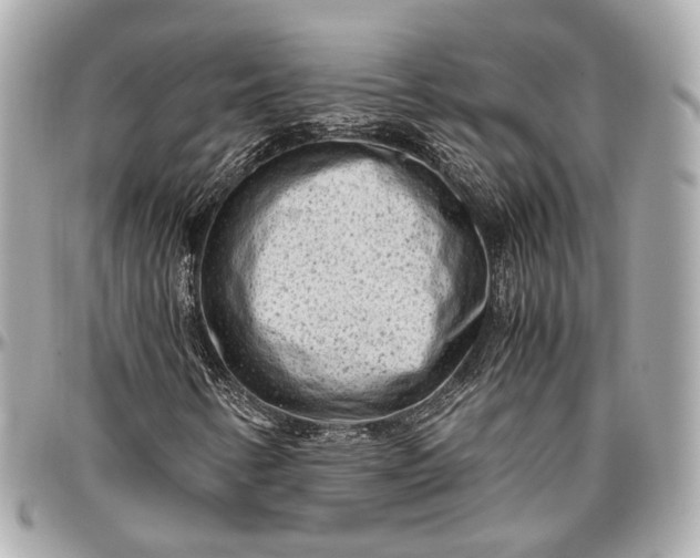 X0000096981346200802221425