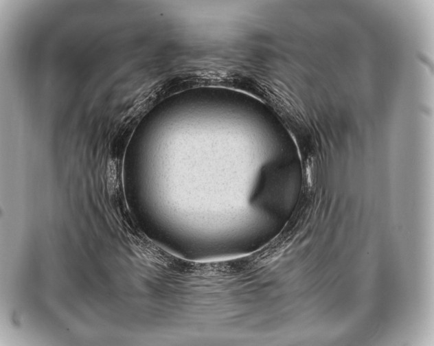 X0000096981347200802221425