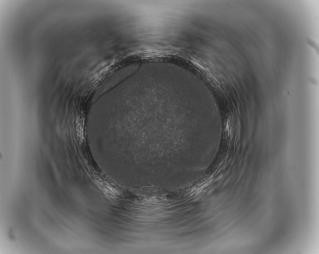 X0000096981348200802221425