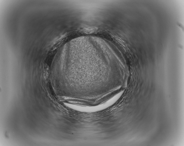 X0000096981349200802221425