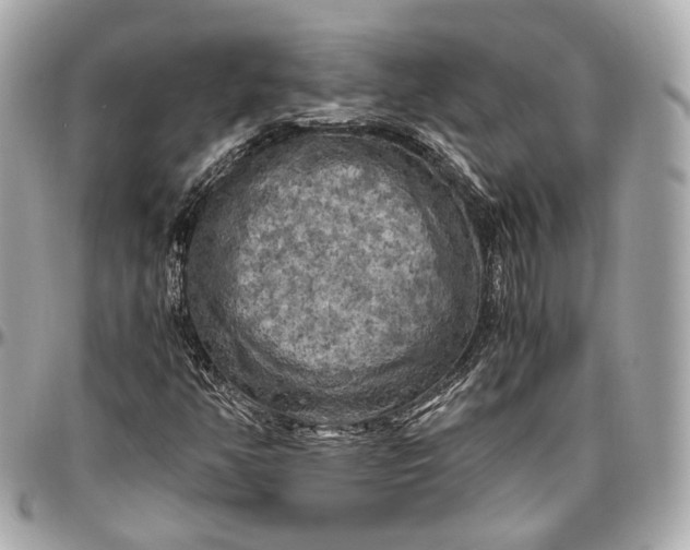 X0000096981350200802221425