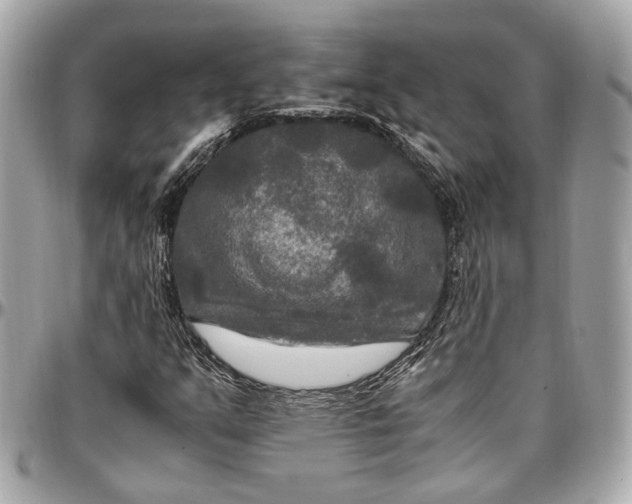 X0000096981351200802221425