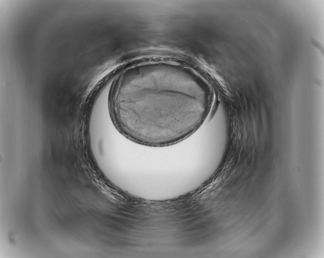 X0000096981352200802221425