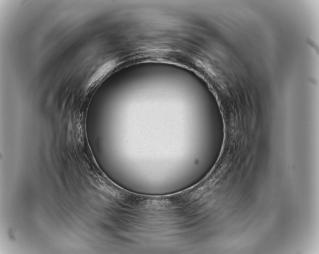 X0000096981354200802221424