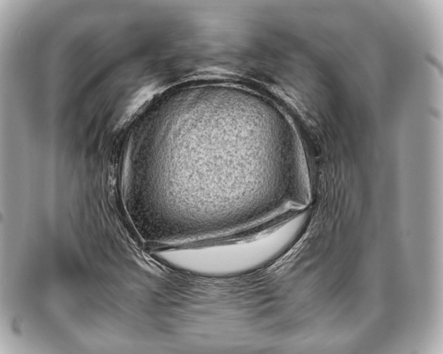 X0000096981355200802221424