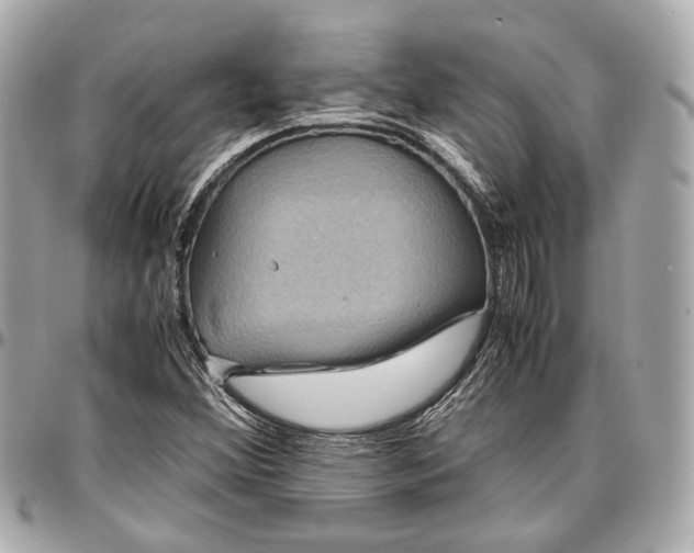 X0000096981356200802221424