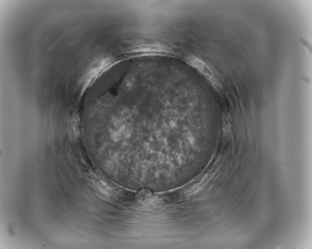 X0000096981357200802221424