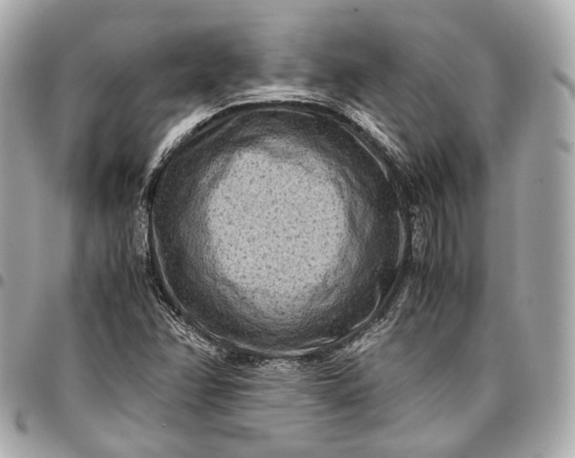 X0000096981358200802221424