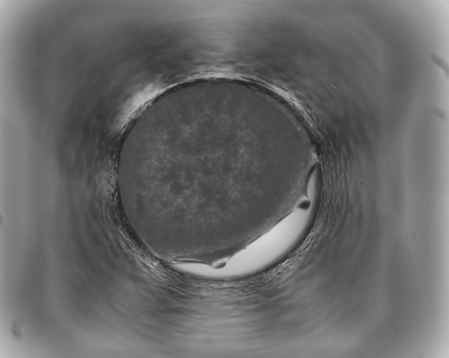 X0000096981359200802221424