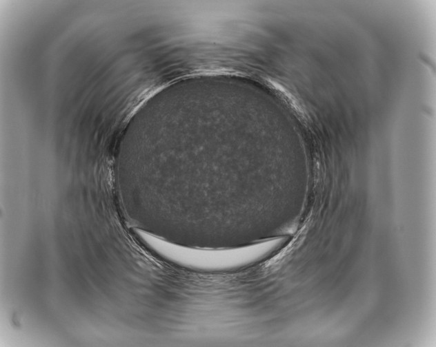 X0000096981361200802221424