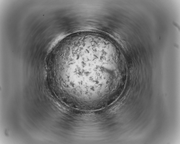 X0000096981363200802221424