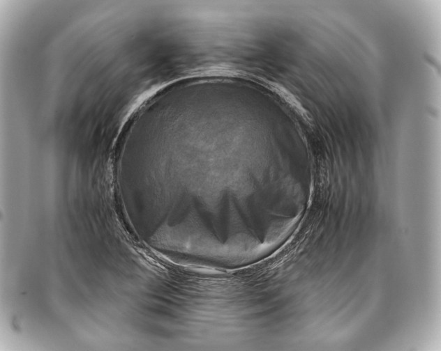 X0000096981364200802221424