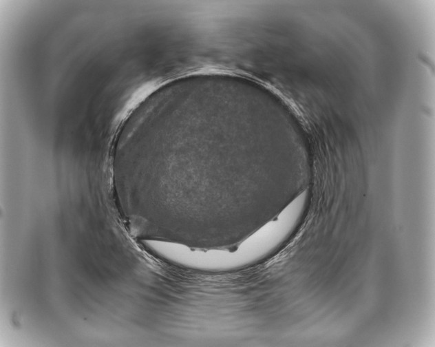 X0000096981367200802221424