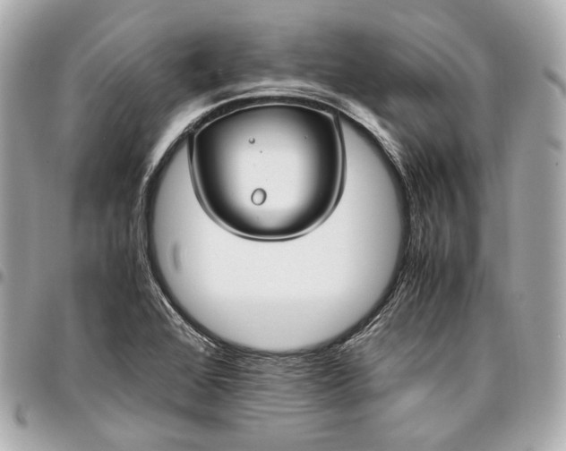 X0000096981368200802221424