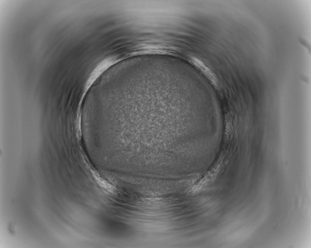 X0000096981370200802221424