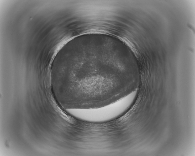 X0000096981371200802221424