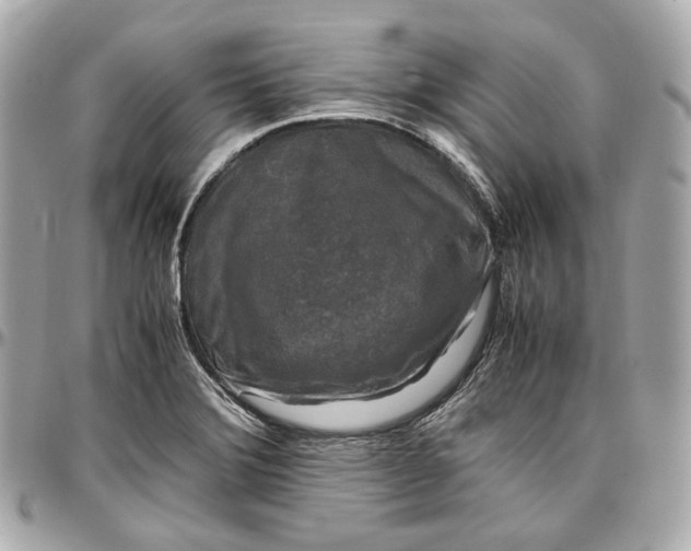 X0000096981372200802221424