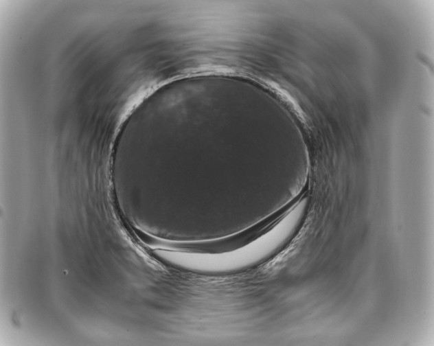 X0000096981373200802221424