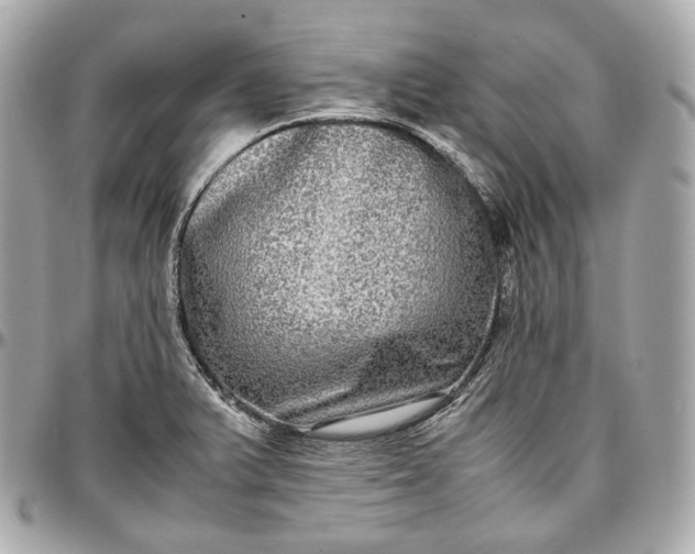 X0000096981375200802221424