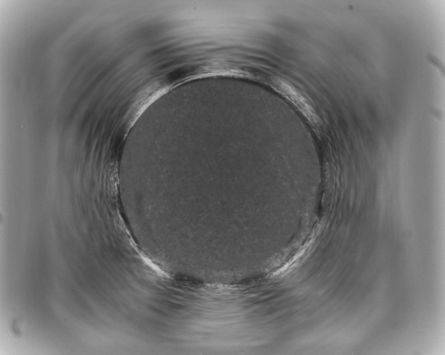 X0000096981377200802221424