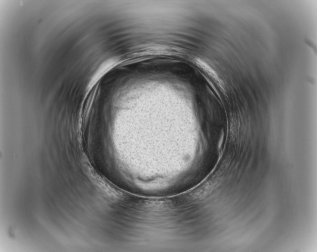 X0000096981378200802221424