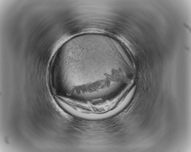 X0000096981379200802221424