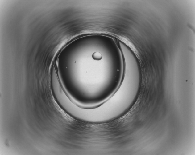 X0000096981380200802221424