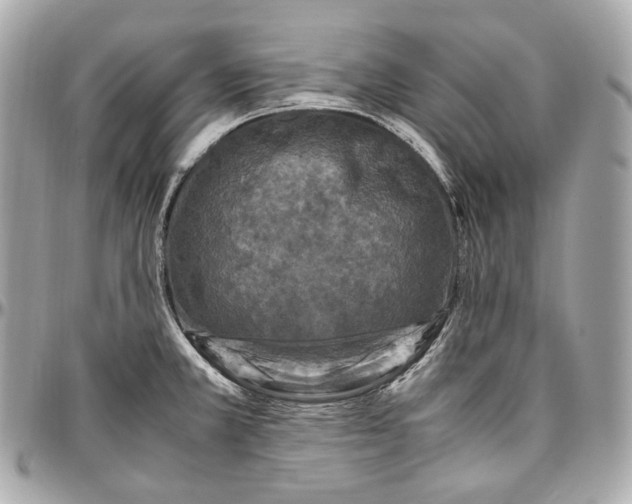 X0000096981381200802221424