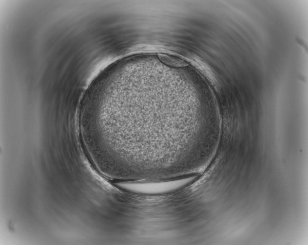 X0000096981382200802221424