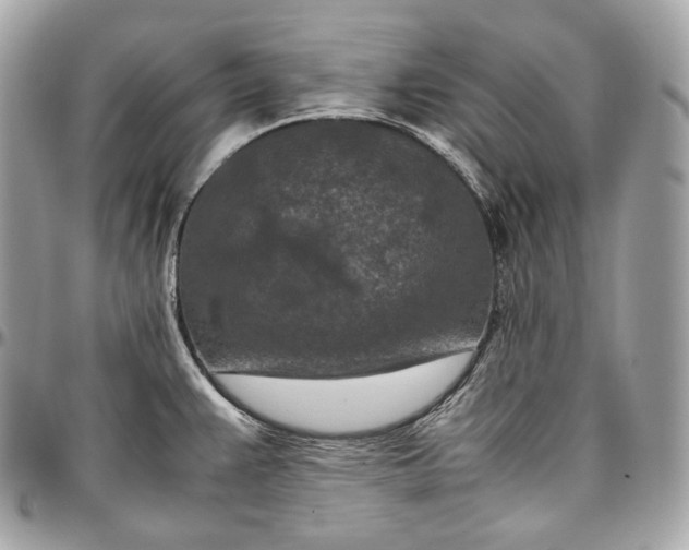 X0000096981383200802221424