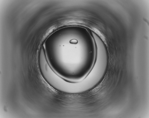 X0000096981384200802221424