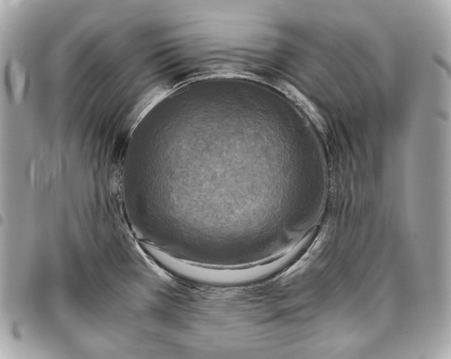 X0000096981385200802221424