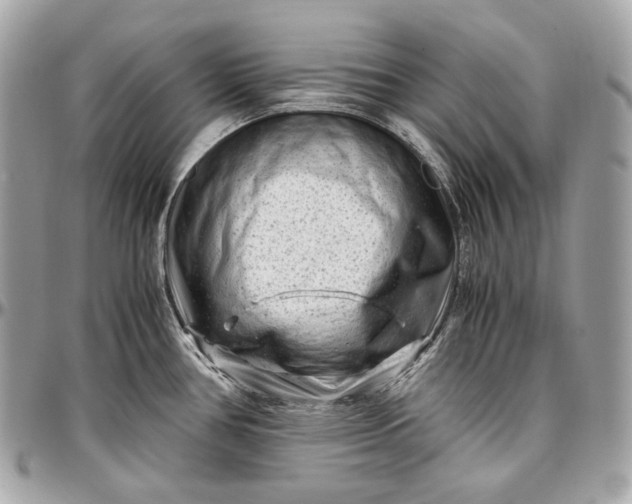 X0000096981386200802221424