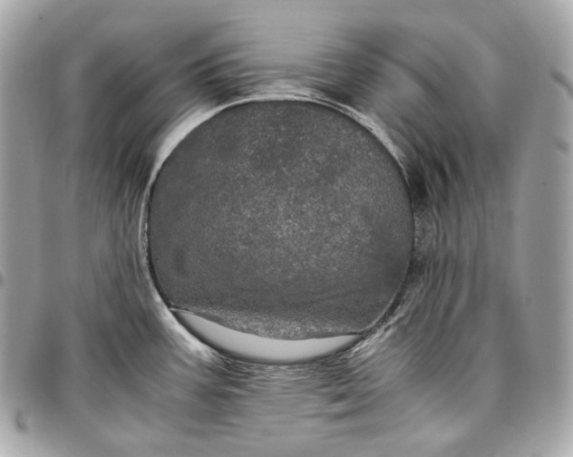 X0000096981387200802221424