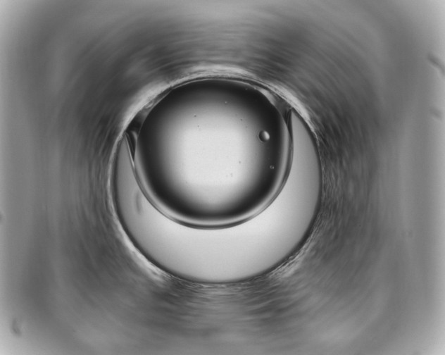 X0000096981391200802221424