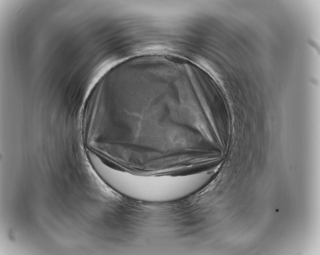 X0000096981392200802221424