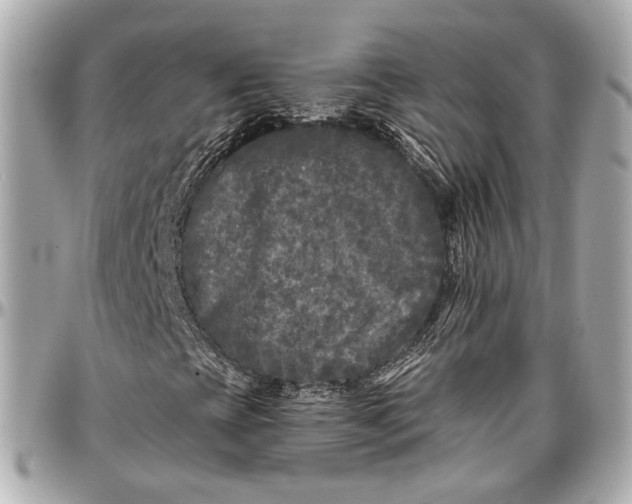 X0000096981393200802221423